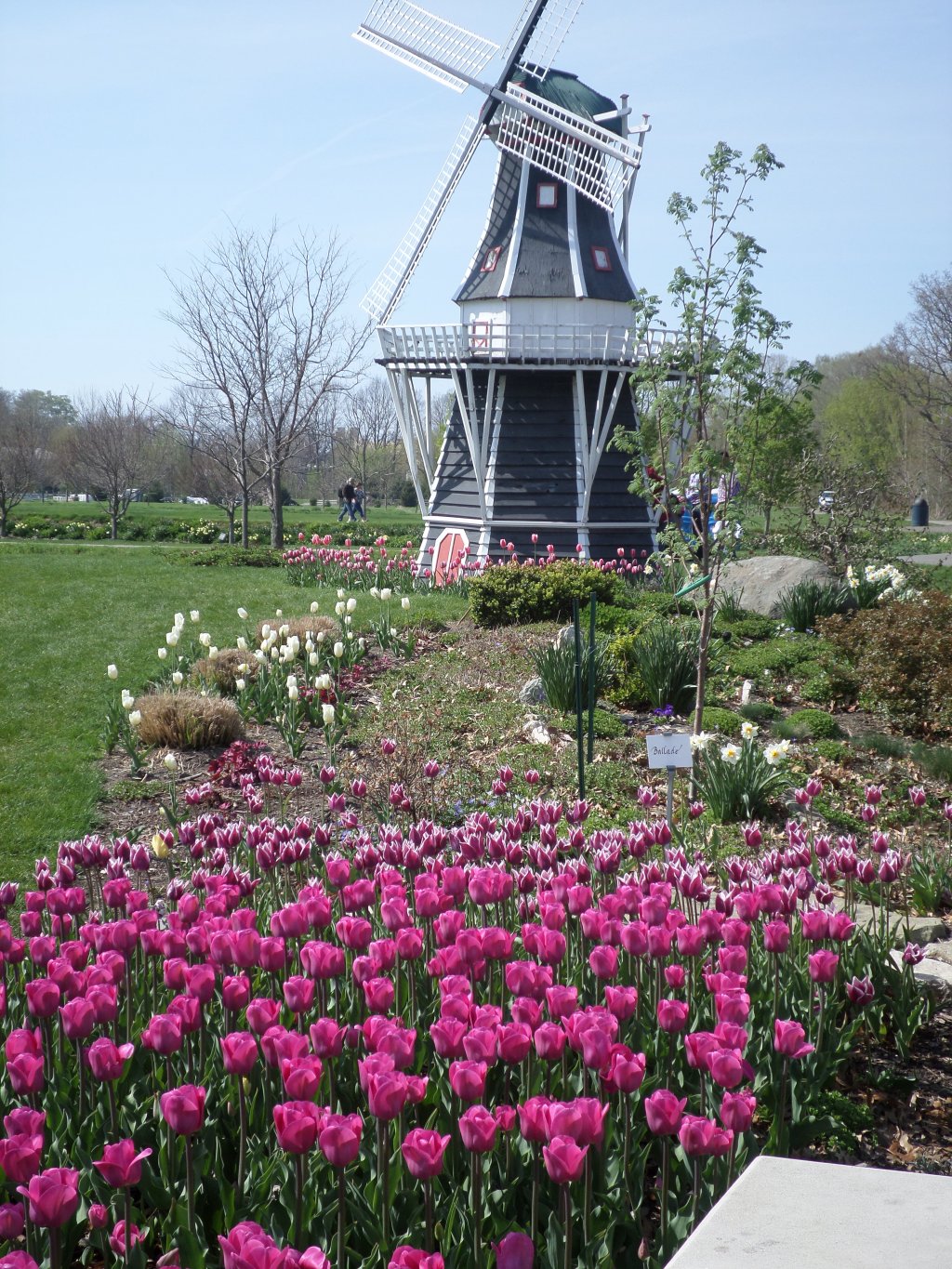 Windmill Island Gardens: Holland MI